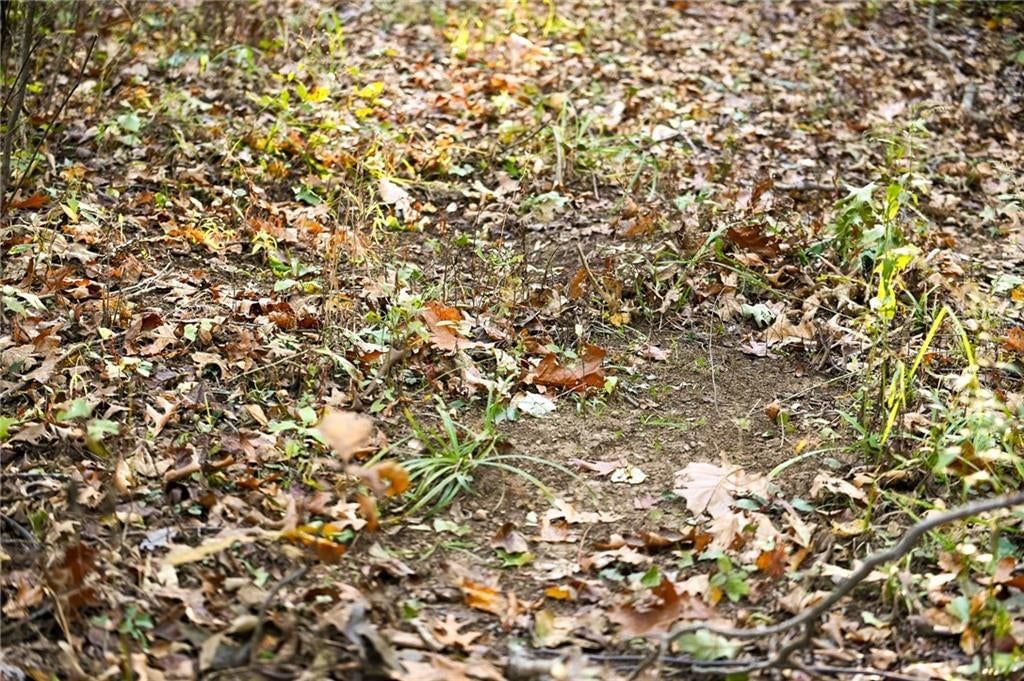 Lot 2 S 725 Road — photo 41