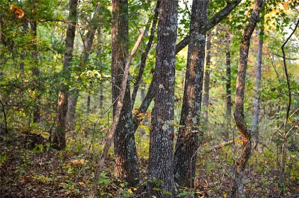 Lot 2 S 725 Road — photo 42