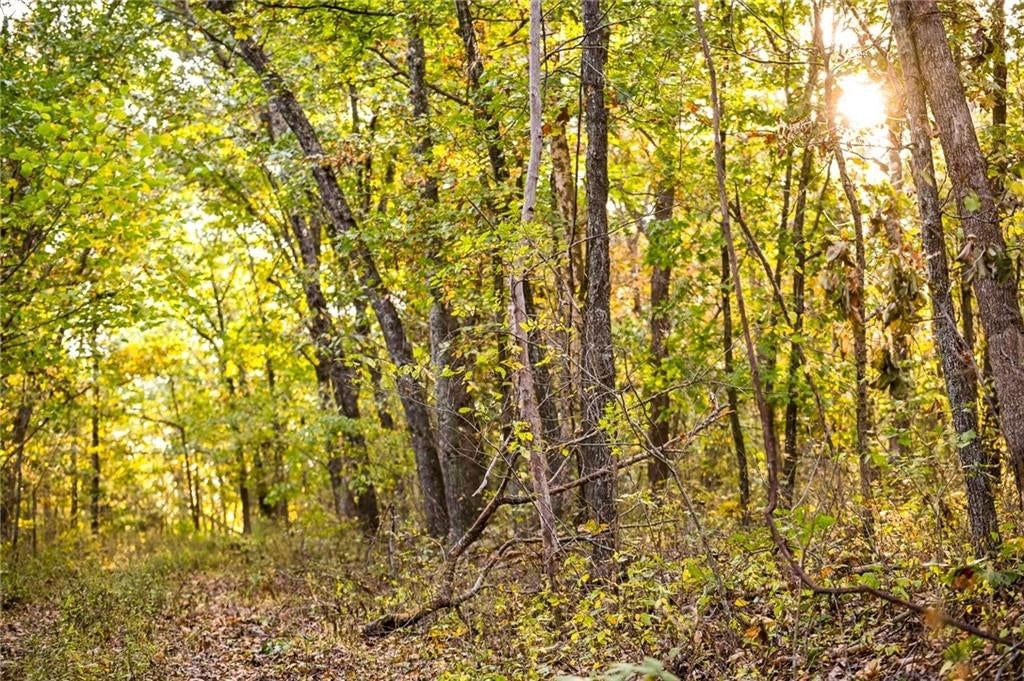 Lot 2 S 725 Road — photo 44