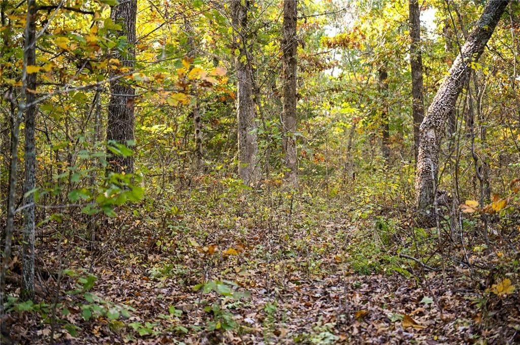 Lot 2 S 725 Road — photo 45