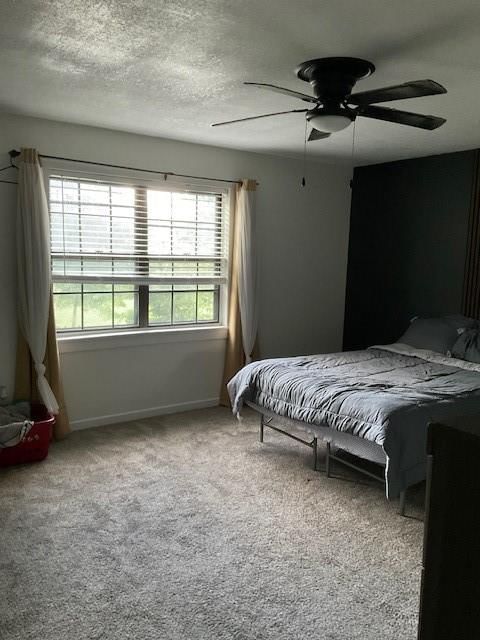 3315 Shady Lane Drive — photo 23