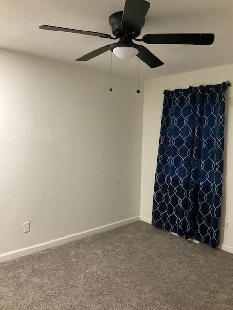 3315 Shady Lane Drive — photo 33