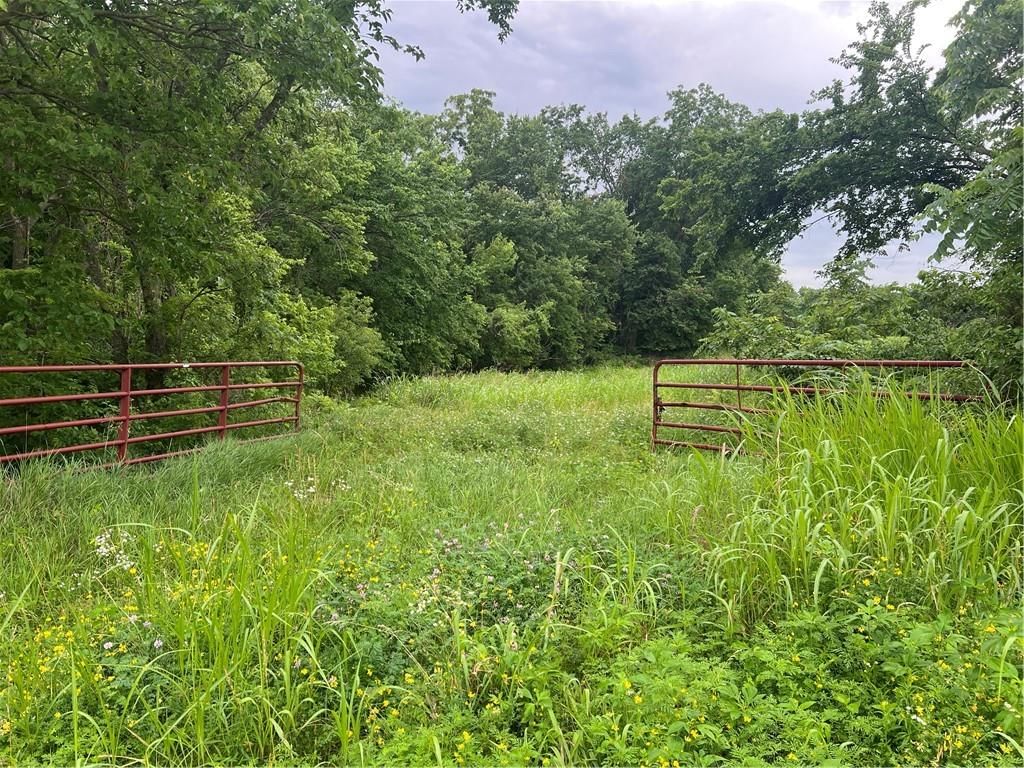 SEC-I-435 & Farley Hampton Road — photo 2
