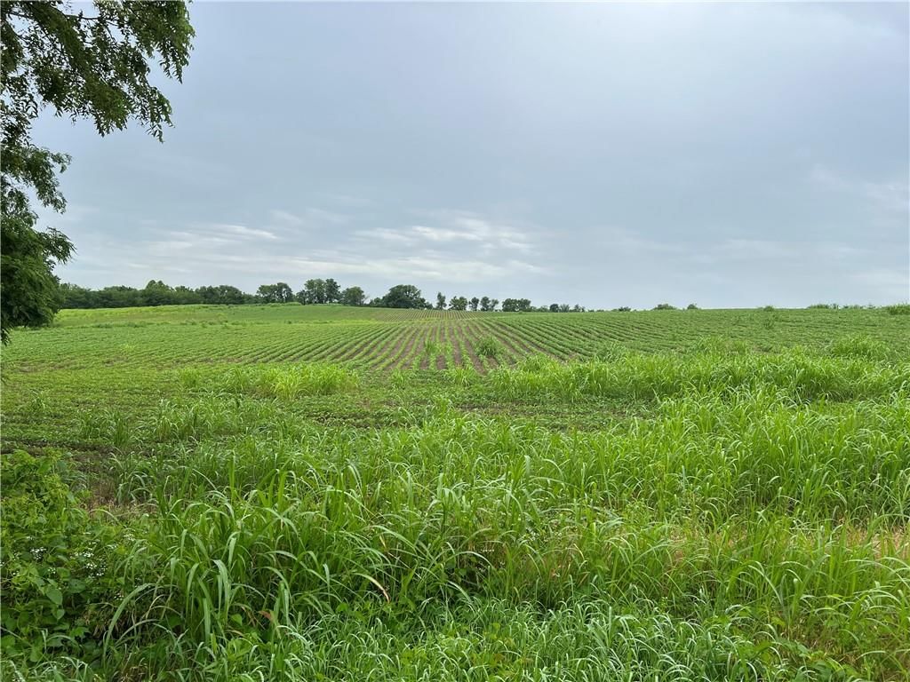 SEC-I-435 & Farley Hampton Road — photo 5