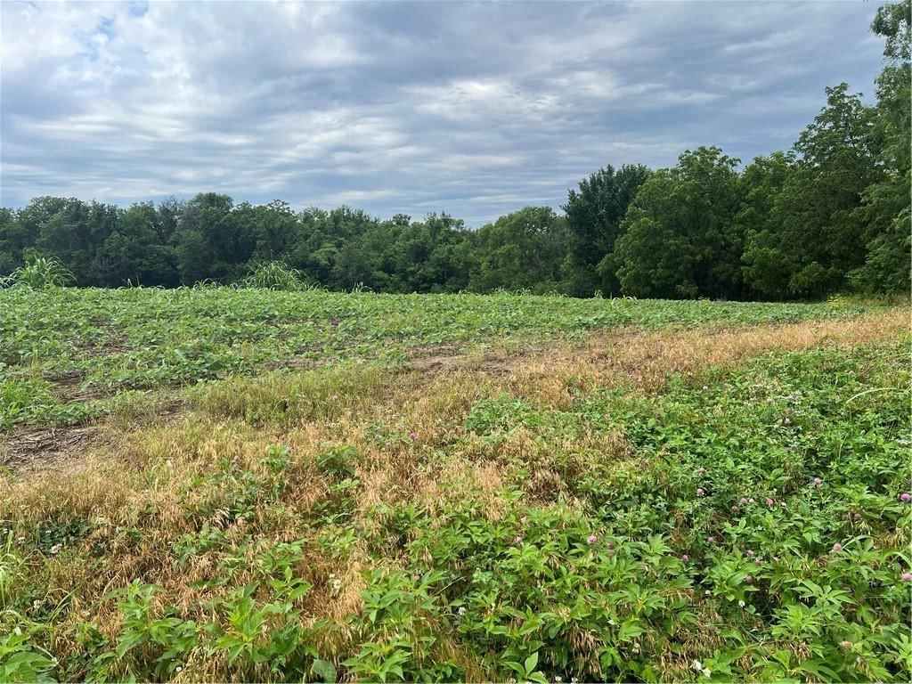SEC-I-435 & Farley Hampton Road — photo 8
