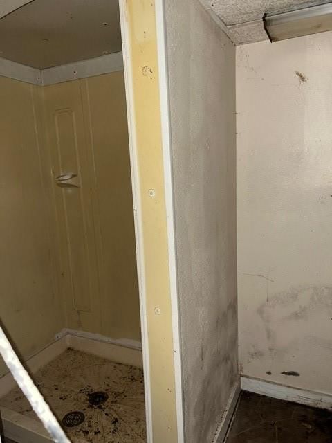 2525 Angelique Street — photo 10