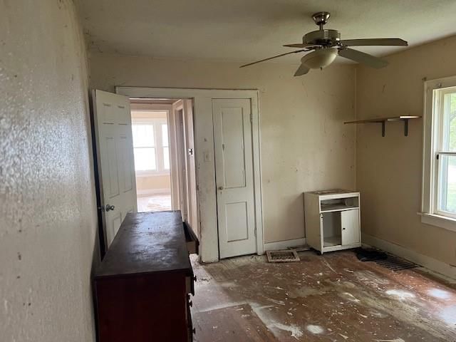 2525 Angelique Street — photo 11