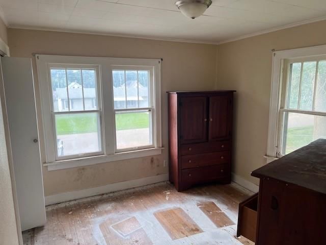 2525 Angelique Street — photo 19