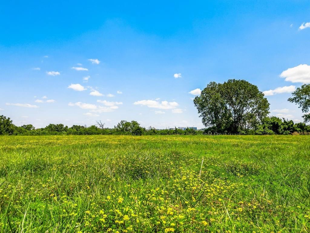 4225 Scott Road — photo 44