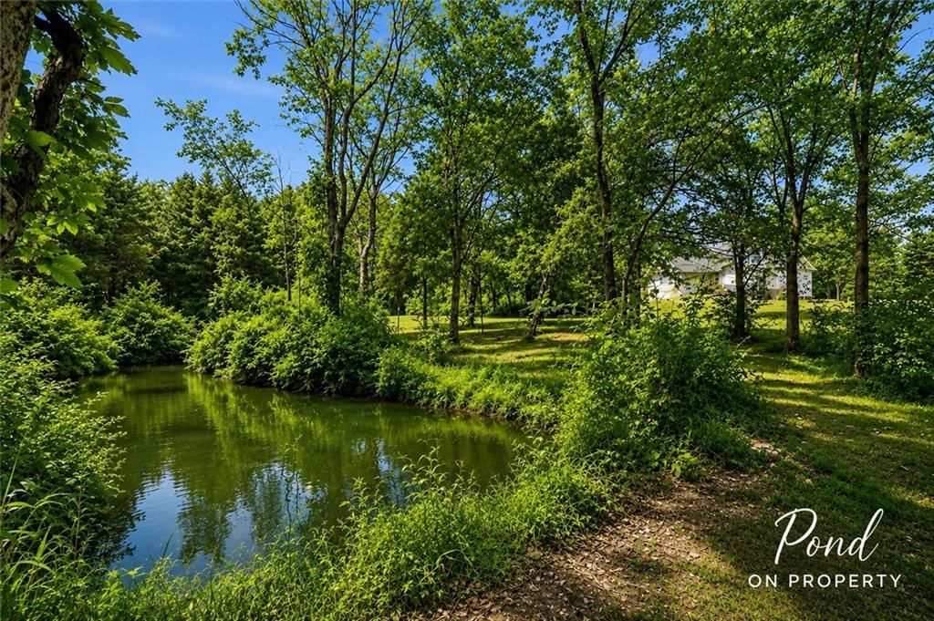 12632 Elkhorn Road — photo 43
