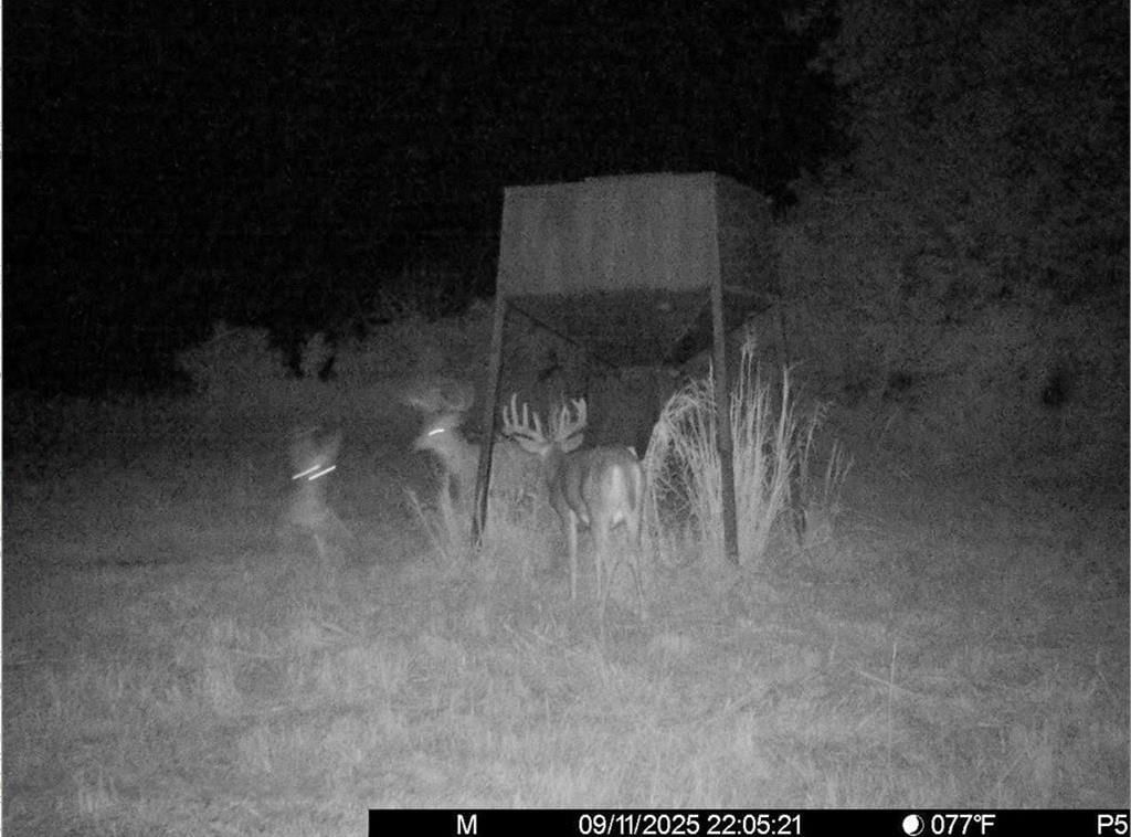 3528 West Virginia Road — photo 5