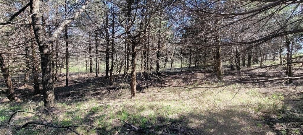 3528 West Virginia Road — photo 15