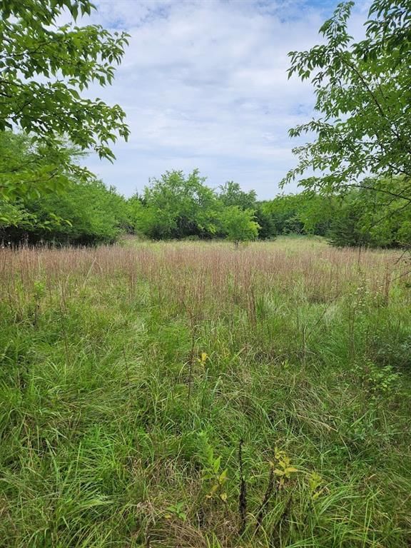 TBD East 301st Street — photo 2
