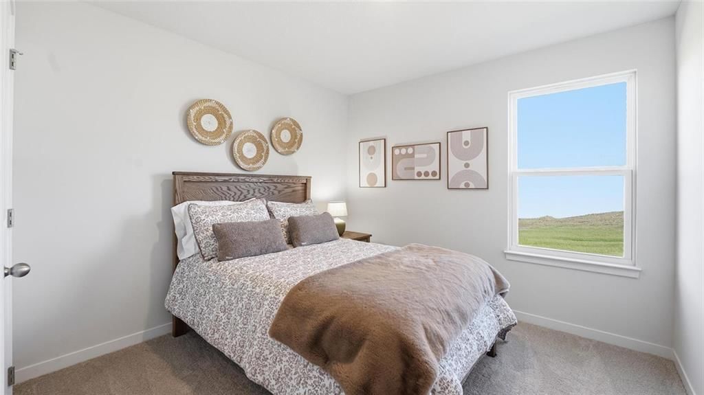 10274 Sorano Drive — photo 17