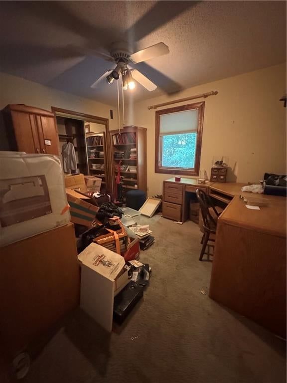 13620 Scottie Circle — photo 10