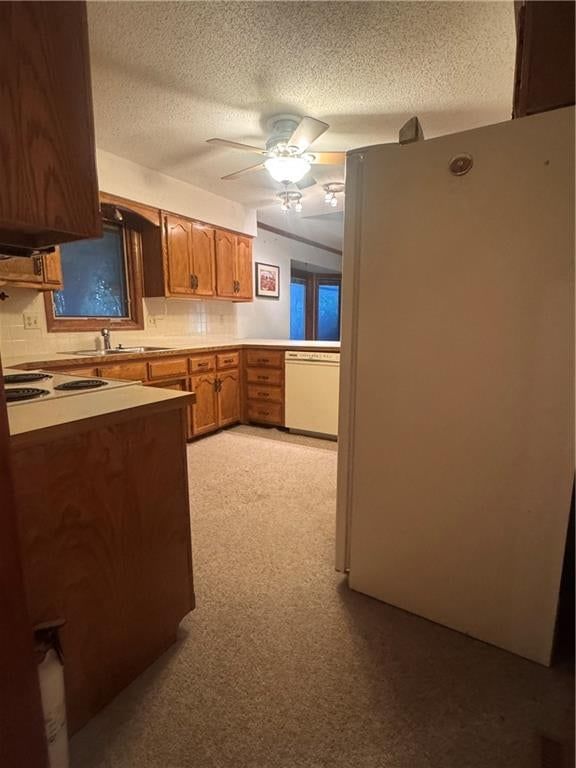 13620 Scottie Circle — photo 22