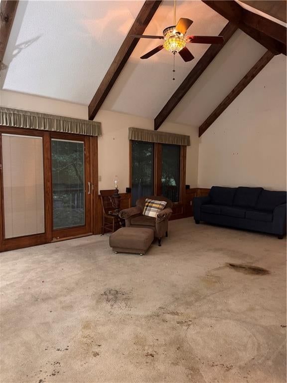 13620 Scottie Circle — photo 29
