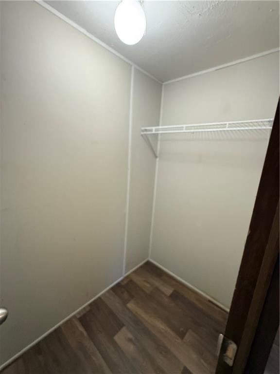 14 Live Oak Court — photo 13