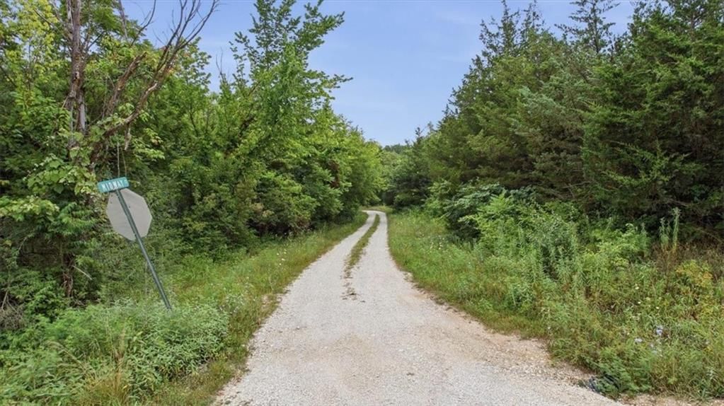 Mark Drive — photo 2