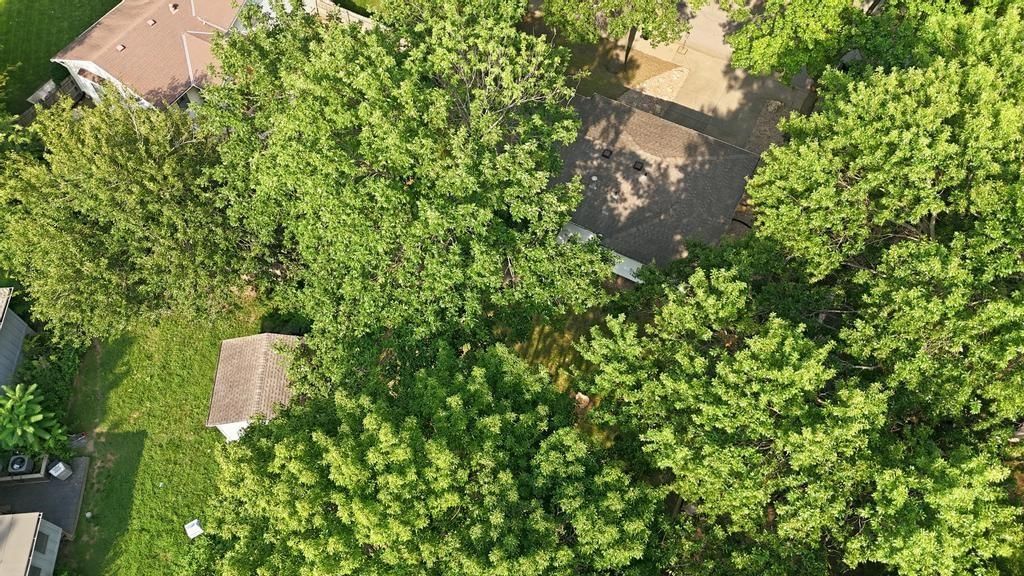319 N Cleveland Avenue — photo 39
