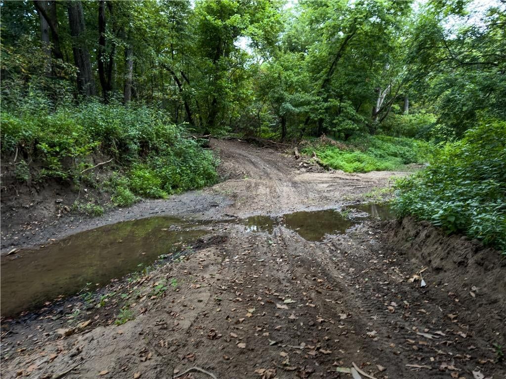 Fire Branch Road — photo 5