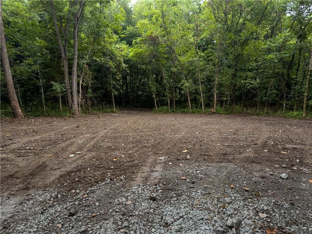 Fire Branch Road — photo 7