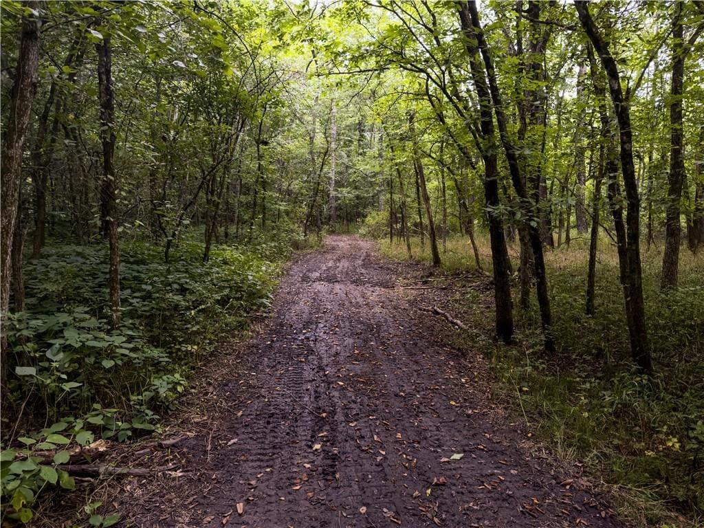 Fire Branch Road — photo 8