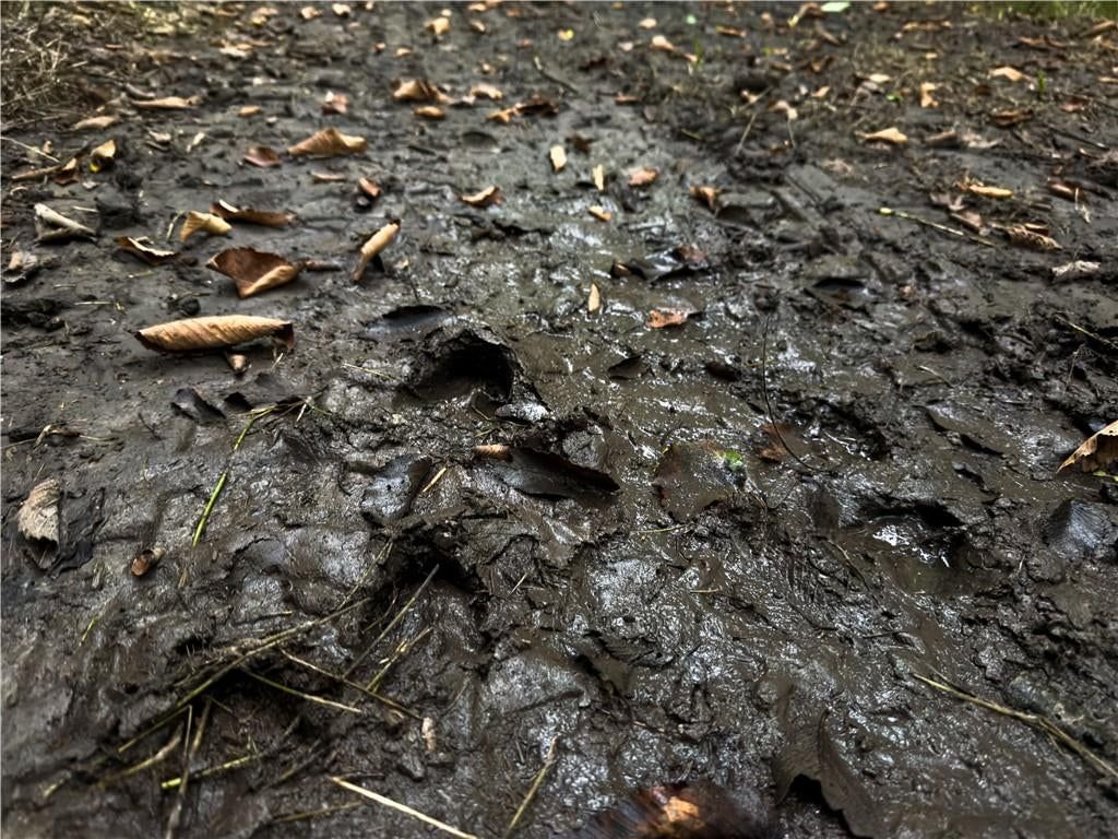 Fire Branch Road — photo 9