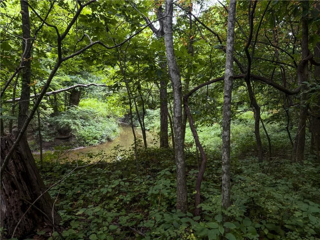 Fire Branch Road — photo 19