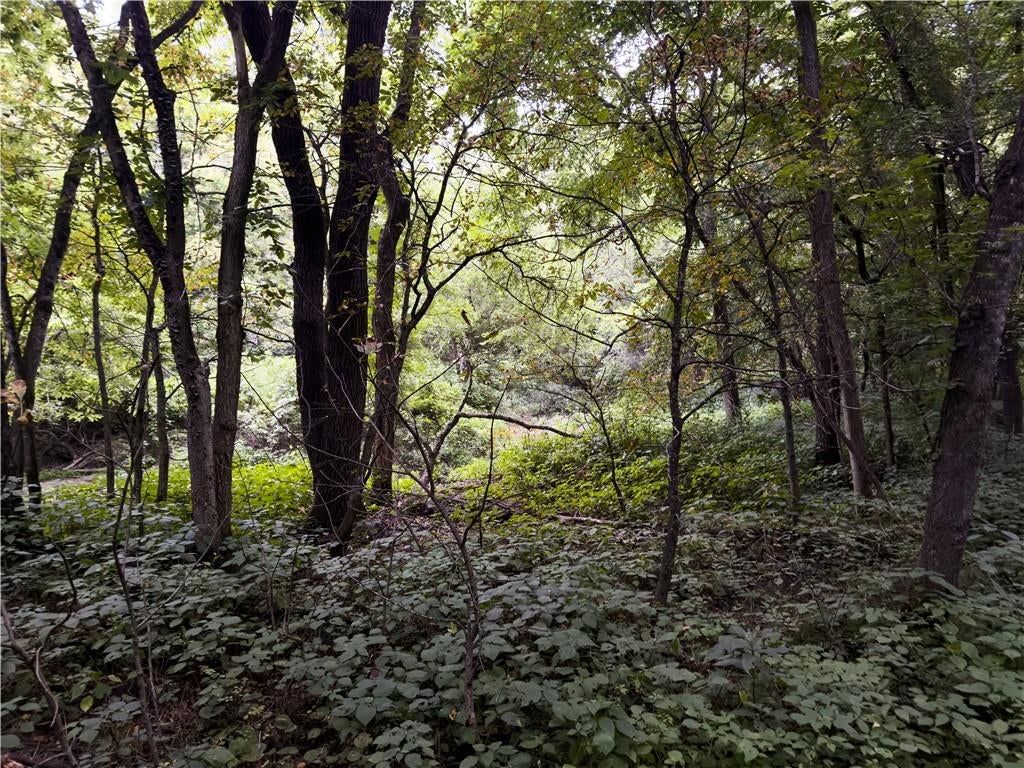Fire Branch Road — photo 23