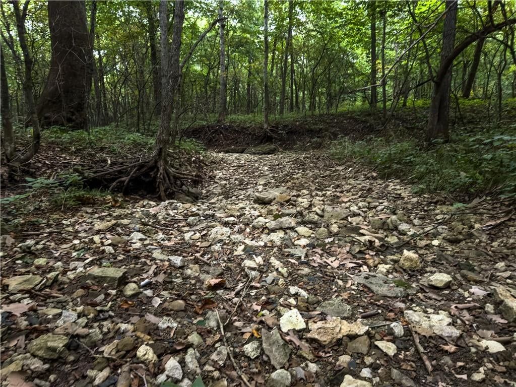 Fire Branch Road — photo 25
