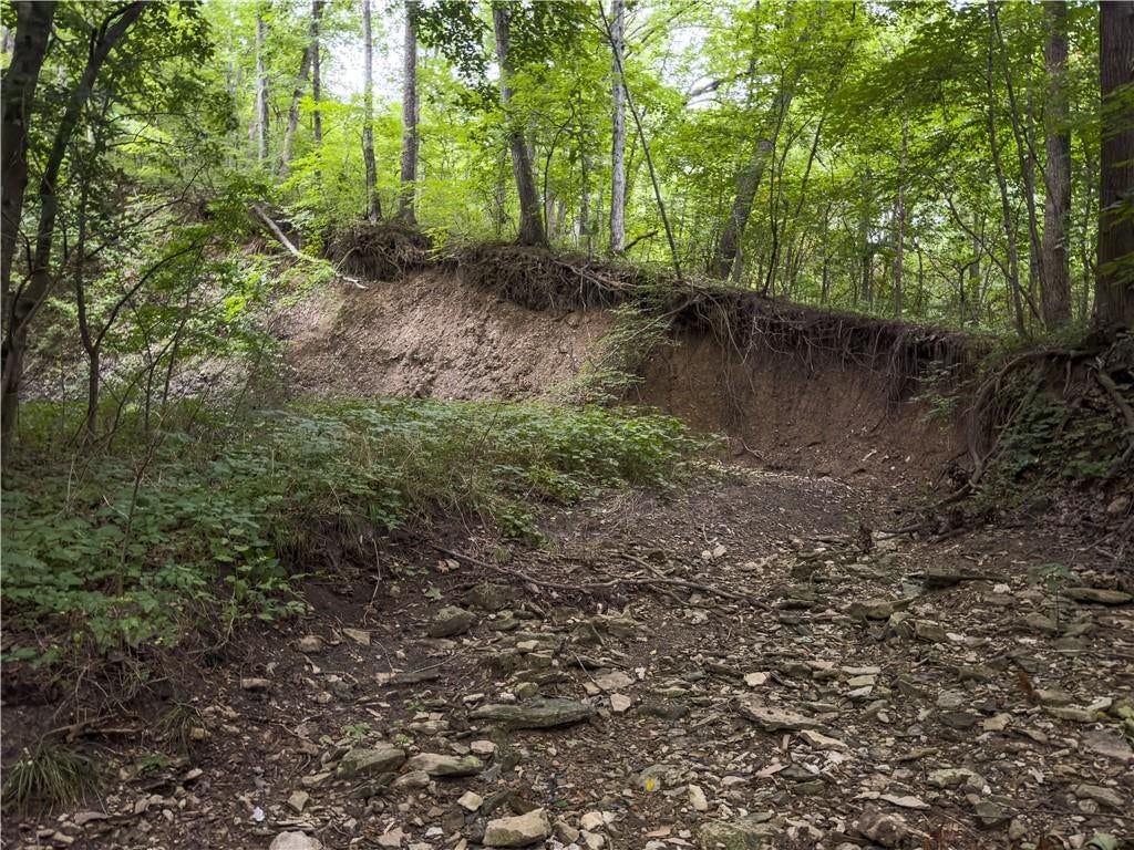 Fire Branch Road — photo 26
