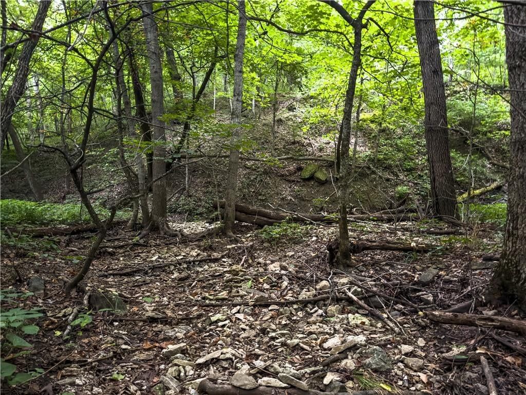 Fire Branch Road — photo 27