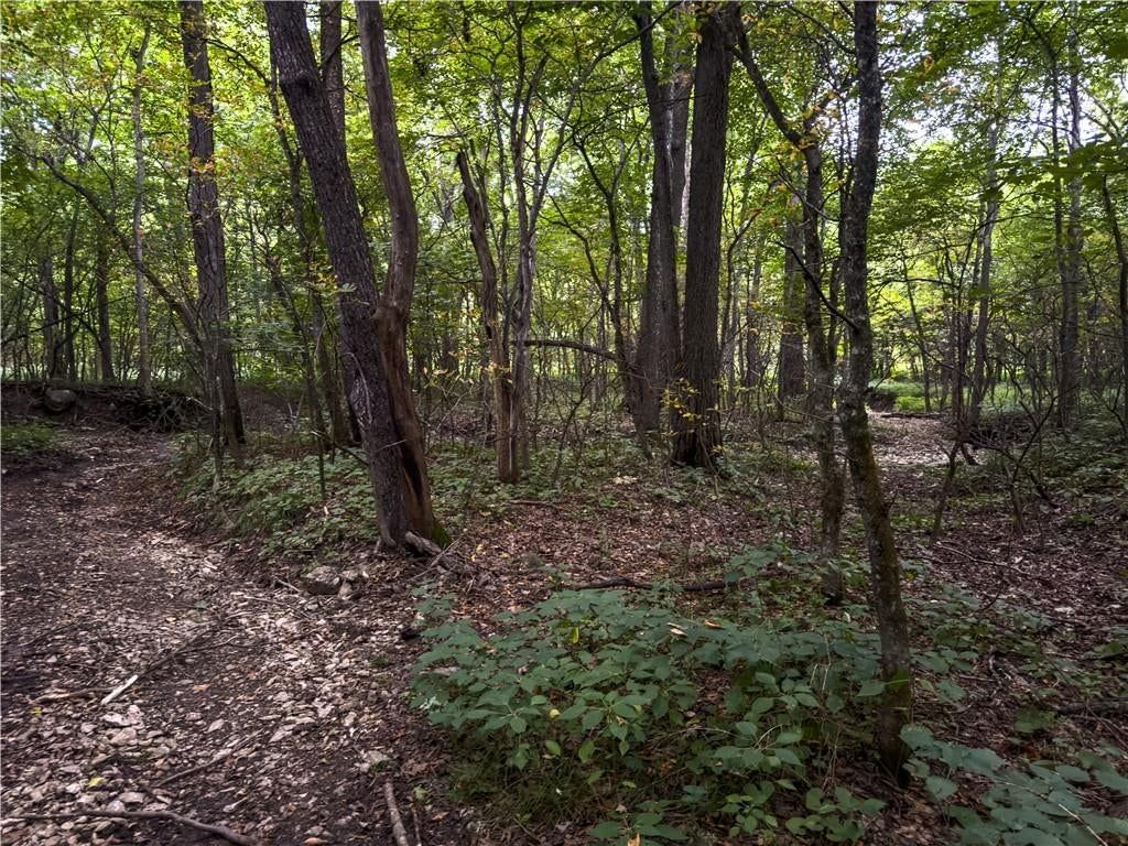 Fire Branch Road — photo 28