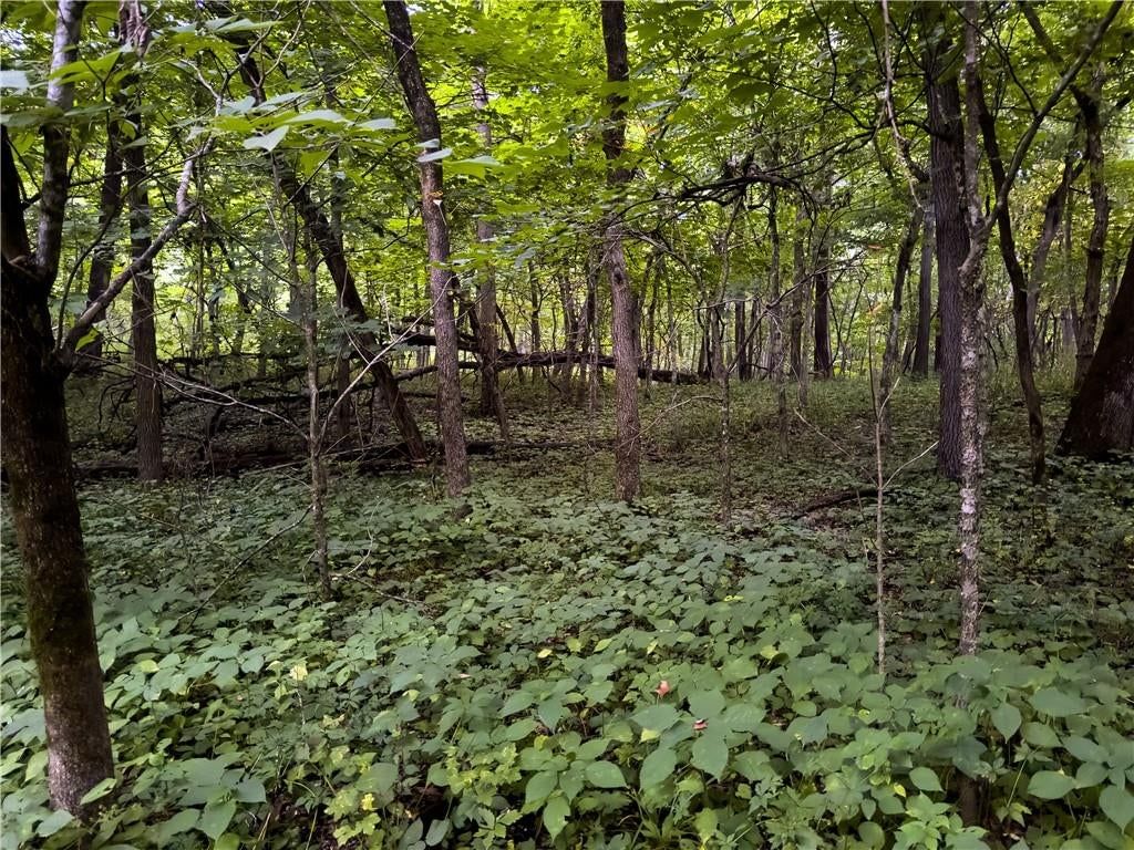 Fire Branch Road — photo 29