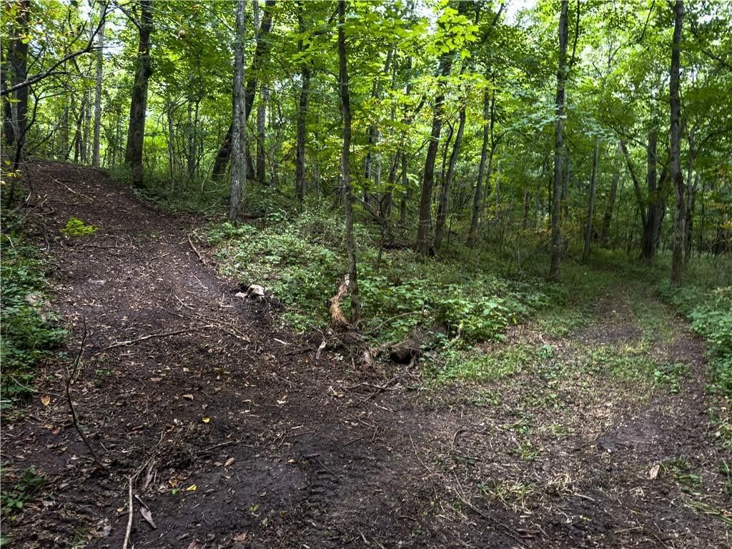 Fire Branch Road — photo 30