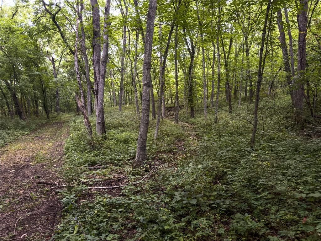 Fire Branch Road — photo 31