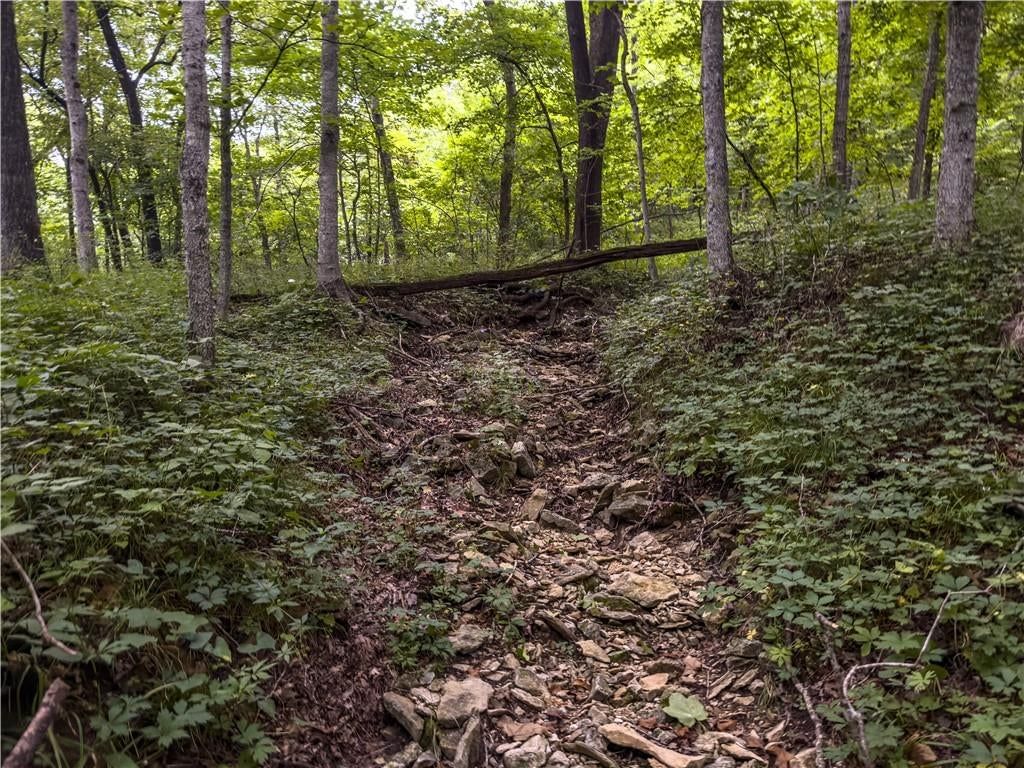 Fire Branch Road — photo 33