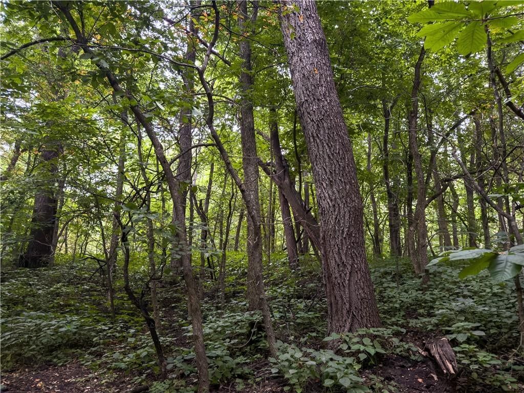 Fire Branch Road — photo 36