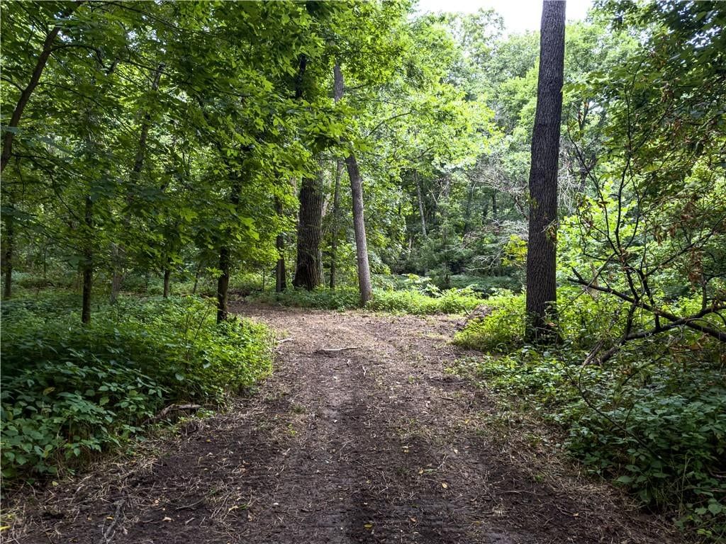 Fire Branch Road — photo 37
