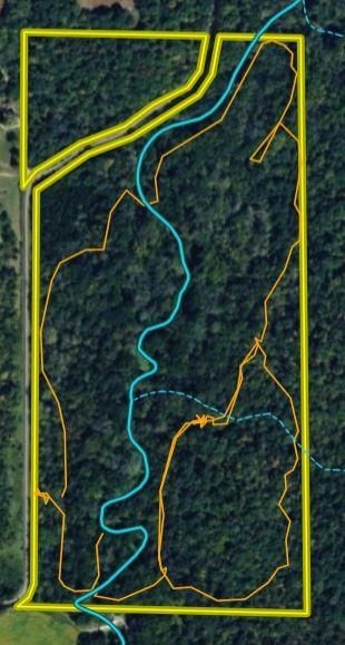 Fire Branch Road — photo 44