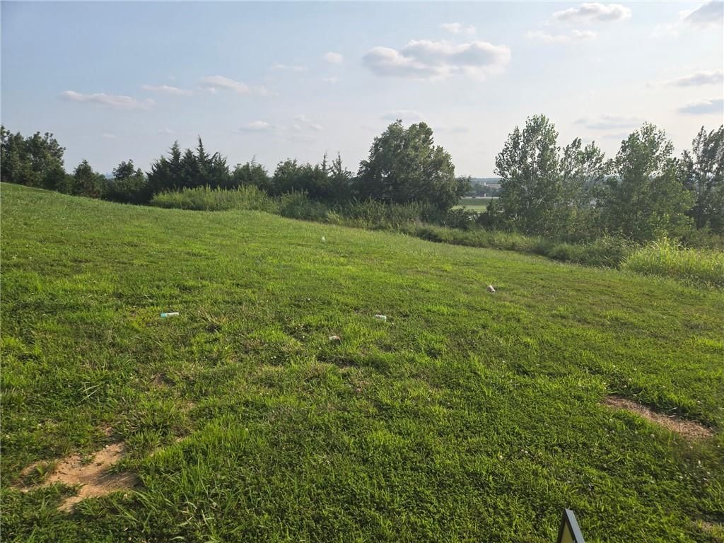 2511 Riverview Drive — photo 1