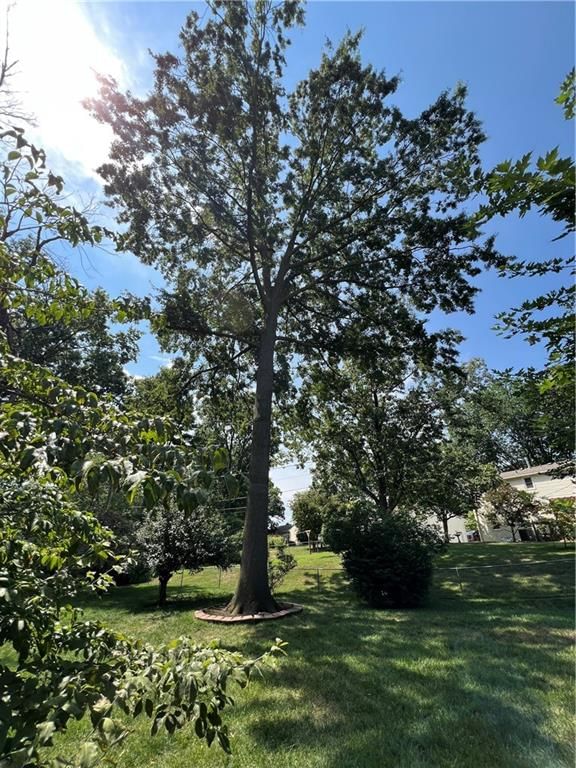 3405 NE 49Th Terrace — photo 43