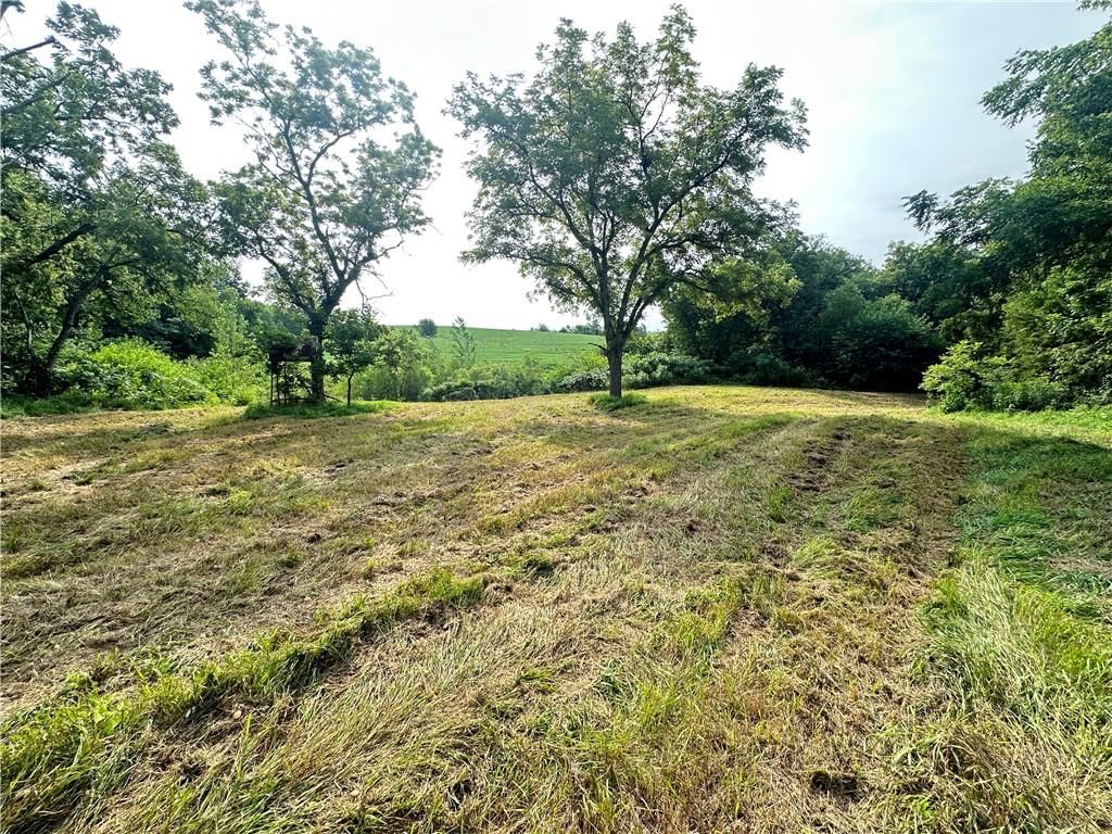 Tract 3 Panther Road — photo 17