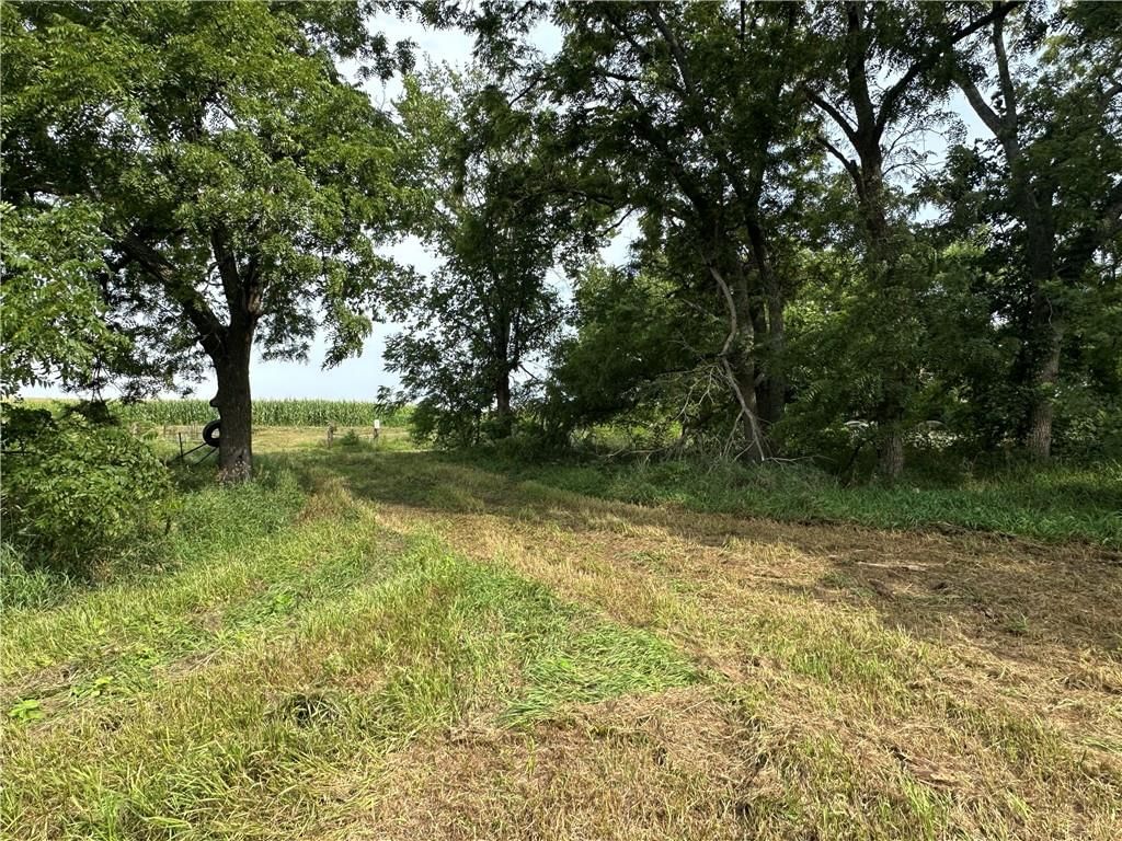 Tract 3 Panther Road — photo 18