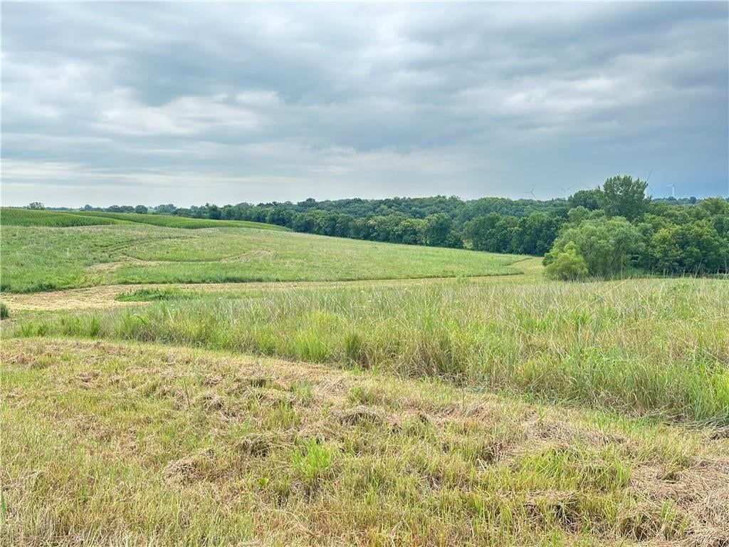 Tract 4 Noble Road — photo 19