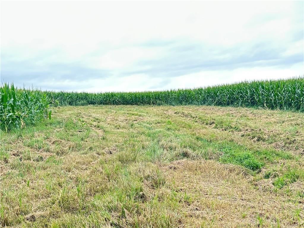 Tract 4 Noble Road — photo 20