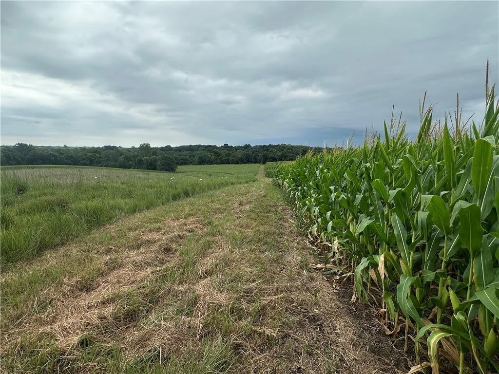 Tract 4 Noble Road — photo 23