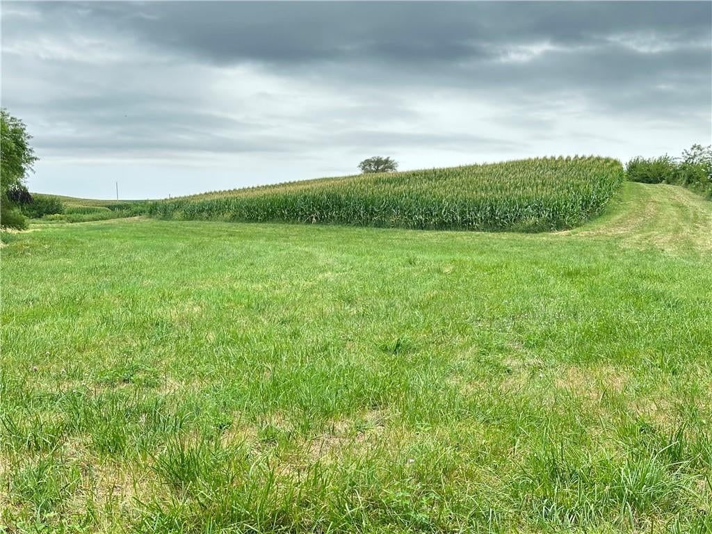 Tract 4 Noble Road — photo 24