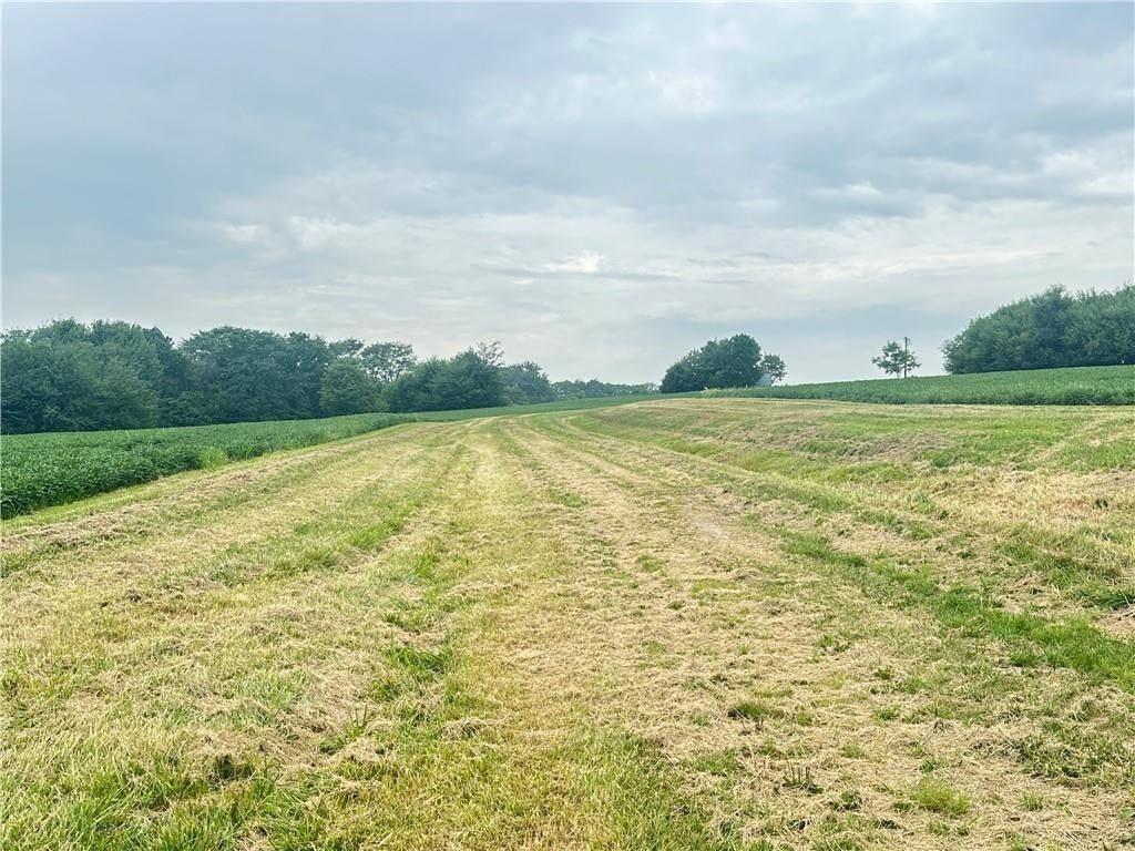Tract 13 High Country Trail — photo 10